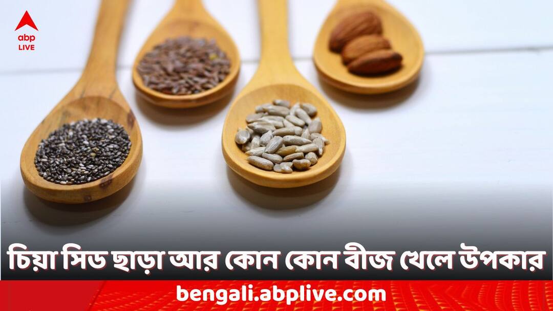 Seeds: শুধু চিয়া সিড নয়, হাজার গুণ অন্যান্য কিছু বীজেও, রোজ পাতে রাখছেন তো? super healthy seeds apart from chia seeds you should include these seeds on your daily diet Seeds: শুধু চিয়া সিড নয়, হাজার গুণ অন্যান্য কিছু বীজেও, রোজ পাতে রাখছেন তো?