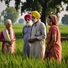 PM Kisan Nidhi: ਜੇਕਰ ਤੁਹਾਡੇ ਖਾਤੇ 'ਚ ਨਹੀਂ ਆ ਰਹੀ PM ਕਿਸਾਨ ਨਿਧੀ ਦੀ ਕਿਸ਼ਤ ਤਾਂ ਕਰੋ ਇਹ ਕੰਮ