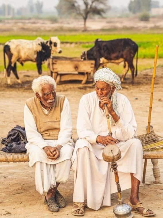 उत्तर प्रदेश में कितने यादव हैं?