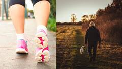Walking Benefits : தினமும் நடைப்பயிற்சி செய்வதால் இத்தனை நன்மைகள் கிடைக்குமா? வாங்க தெரிந்து கொள்ளலாம்..