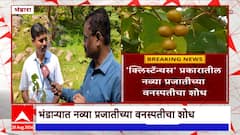 Bhandra : भंडाऱ्यात 'क्लिस्टॅन्थस' प्रकारातील नव्या प्रजातीच्या वनस्पतीचा शोध