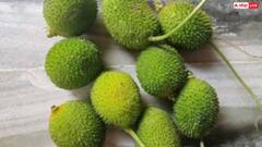 Health Tips: ये है दुनिया की सबसे ताकतवर सब्जी, नाम सुनकर नहीं होगा आपको यकीन