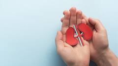 7 Healthy Habits For Maintaining Kidney Health