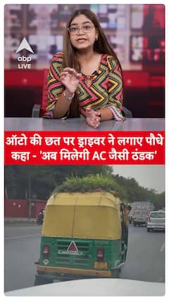 Auto Driver Plants Vegetation on Roof, Claims It Will Provide AC-Like Coolness