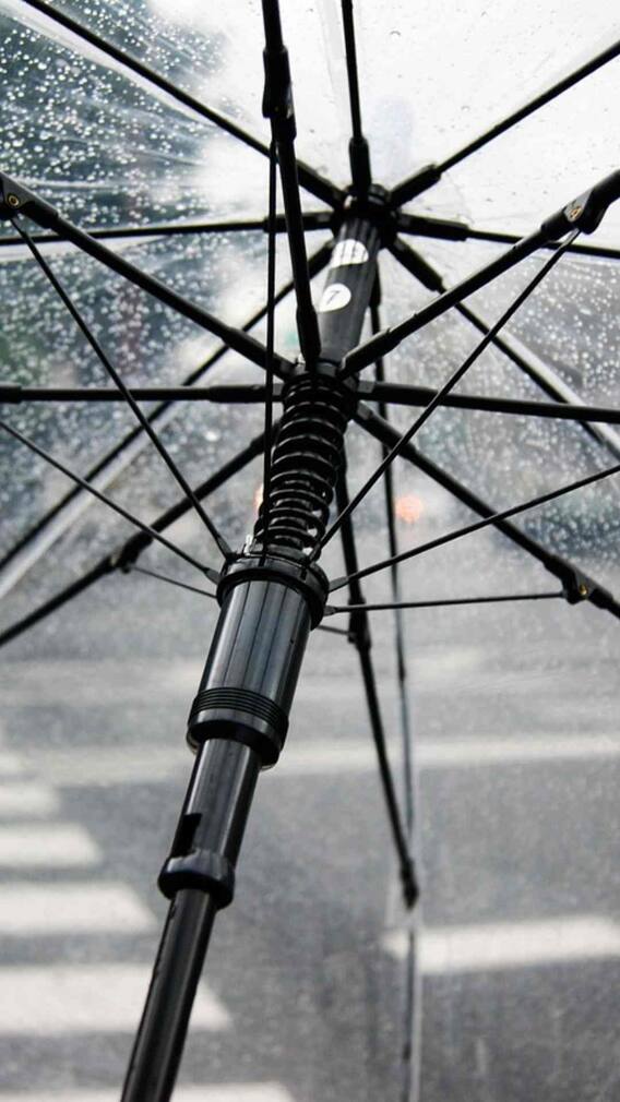 ਪੰਜਾਬ ਅਤੇ ਚੰਡੀਗੜ੍ਹ 'ਚ ਬਦਲੇਗਾ ਮੌਸਮ, ਇੰਨੀ ਤਰੀਕ ਤੋਂ ਪਵੇਗਾ ਜ਼ੋਰਦਾਰ ਮੀਂਹ