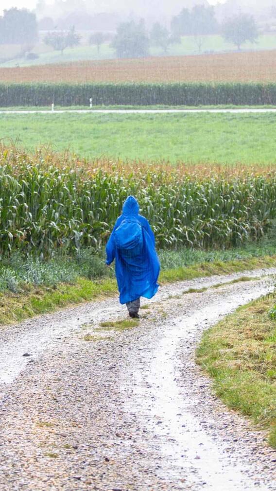 ਪੰਜਾਬ ਅਤੇ ਚੰਡੀਗੜ੍ਹ 'ਚ ਤੂਫਾਨ ਦਾ ਅਲਰਟ ਜਾਰੀ