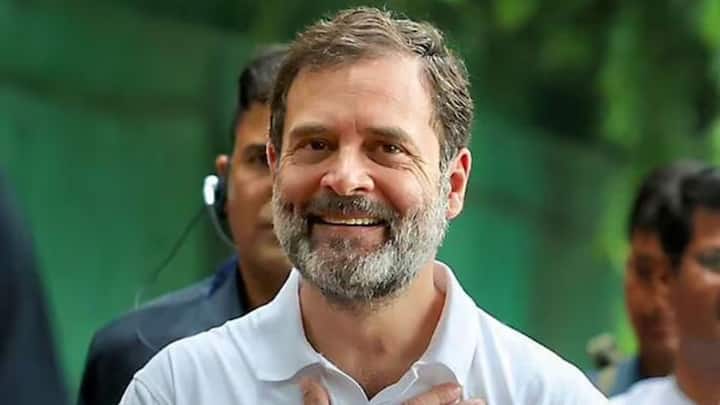 कांग्रेस नेता राहुल गांधी ने शिक्षा दिल्ली के सेंट कोलंबस स्कूल से प्राप्त की. इसके बाद उन्होंने राहुल गांधी ने प्रतिष्ठित हार्वर्ड विश्वविद्यालय और फिर कैंब्रिज विश्वविद्यालय से अपनी पढ़ाई पूरी की.