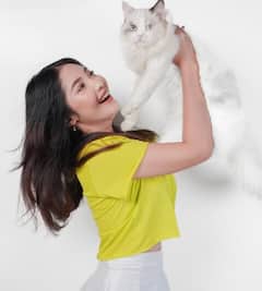 ਬਿੱਲੀ ਰੱਖਣ ਨਾਲ ਘੱਟ ਹੋ ਜਾਂਦੈ ਹਾਰਟ ਅਟੈਕ ਦਾ ਖਤਰਾ...ਤਣਾਅ ਅਤੇ ਚਿੰਤਾ ਤੋਂ ਵੀ ਮਿਲਦੀ ਰਾਹਤ