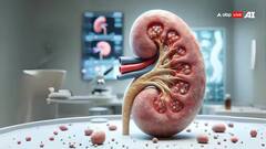 Stomach Stones: આ વસ્તુઓથી પેટની પથરી ઓગળવા લાગે છે, સર્જરી વગર થાય છે કામ