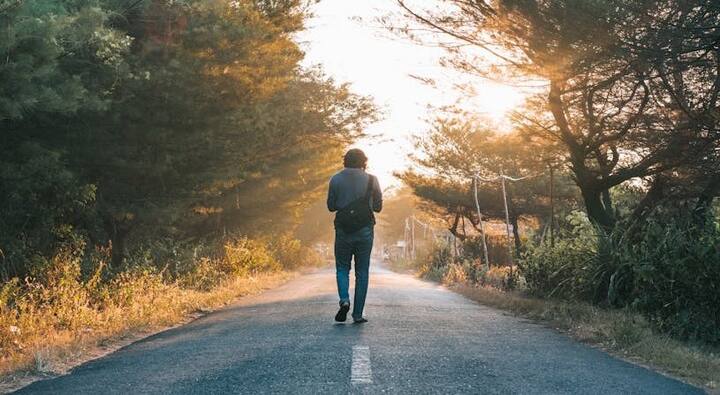 தினமும் ஒரு மணி நேரம் நடைப்பயிற்சி செய்யும் போது 245 கலோரிகளை எரிக்க முடியும் என நிபுணர்கள் கூறுகின்றனர்