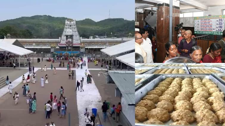 Andhra CM Chandrababu Accuses Jagan Govt of Desecrating Tirumala Temple Animal Fat Used In Laddu Prasadam Chandrababu Tirupati: பக்தர்கள் அதிர்ச்சி..! திருப்பதி லட்டு பிரசாதத்தில் விலங்கு கொழுப்பு - முதலமைச்சர் சந்திரபாபு