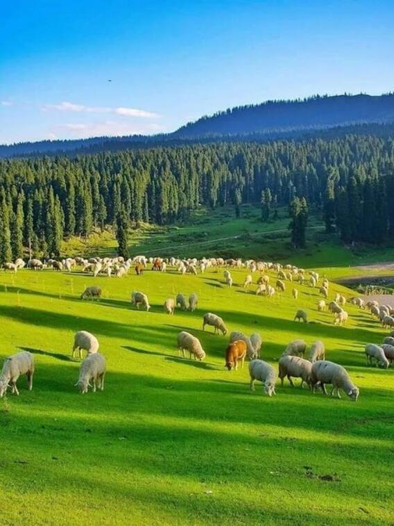 ये हैं उत्तराखंड के 5 खूबसूरत गांव