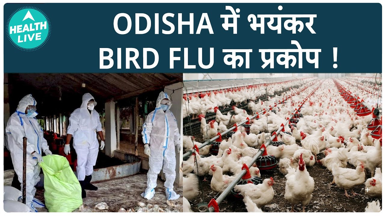 Staying Safe From Bird Flu In Odisha | Avian Influenza | Health Live