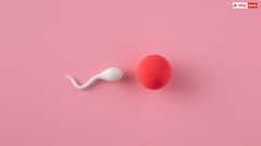 Health Tips: एक सेकेंड में कितने स्पर्म बनाता है एक एवरेज इंसान? सुनकर हिल जाएगा दिमाग