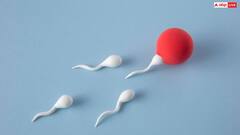 Health Tips: एक सेकेंड में कितने स्पर्म बनाता है एक एवरेज इंसान? सुनकर हिल जाएगा दिमाग