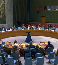 ये UNSC में सुधार को रोकने की कोशिश... संयुक्त राष्ट्र में भारत ने कुचला पाकिस्तान का प्रस्ताव