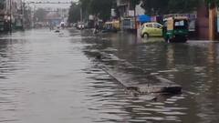 Kutch: કચ્છ જિલ્લાને મેઘરાજાએ ઘમરોળ્યો, 24 કલાકમાં અબડાસામાં 11 ઇંચ વરસાદથી જળબંબાકાર