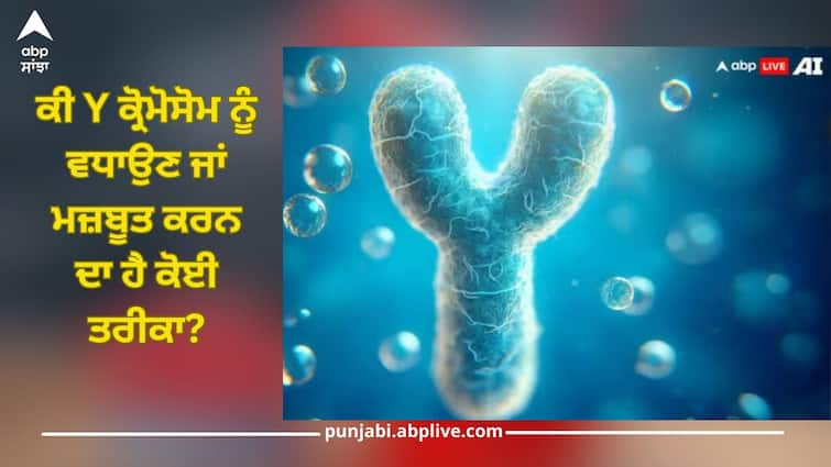 can you boost or strengthen the y chromosome heres what experts say detail inside Y Chromosome: ਕੀ Y ਕ੍ਰੋਮੋਸੋਮ ਨੂੰ ਵਧਾਉਣ ਜਾਂ ਮਜ਼ਬੂਤ ​​ਕਰਨ ਦਾ ਹੈ ਕੋਈ ਤਰੀਕਾ? ਜਾਣੋ ਕੀ ਕਹਿੰਦੇ ਡਾਕਟਰ