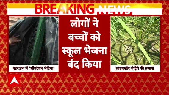 UP News: Fear of Wolves Persists... Residents Stop Sending Children to School | ABP News