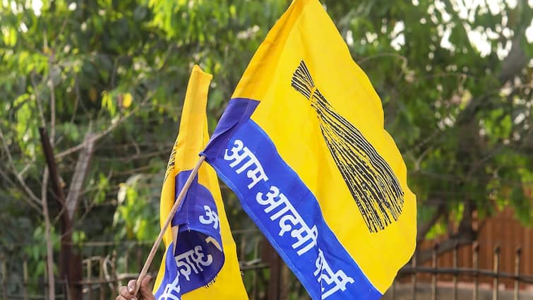 Bihar Election: AAP Announces Poll Debut In State With First List Of Candidates, Set To Contest All 243 Seats