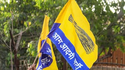Delhi News Key AAP BJP Congress Candidates Enter Fray For Delhi Zonal Ward Committee Elections Delhi: Key AAP, BJP Candidates Enter Fray For Zonal Ward Committee Elections — Details