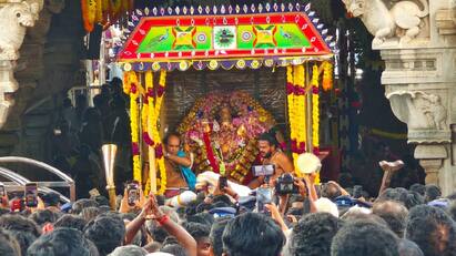 Tiruchendhur Murugan Temple  Avani 7th day Swami Shanmukhar Vetri Veer chariot - TNN ஆவணி 7ம் திருவிழா - சுவாமி சண்முகர் வெற்றி வேர் சப்பரத்தில் எழுந்தருளி பக்தர்களுக்கு காட்சி