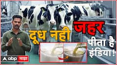 Fake Milk VS Real Milk : तुमच्या घरी येणाऱ्या दुधात युरिया तर नाही ना? तर तुम्ही विष पित आहात!