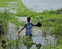 48 વર્ષ બાદ ઓગષ્ટમાં વાવાઝોડું આવશે, આ વિસ્તારમાં ભારેથી અતિભારે વરસાદ પડશેઃ અંબાલાલ પટેલ