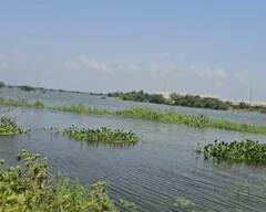 48 વર્ષ બાદ ઓગષ્ટમાં વાવાઝોડું આવશે, આ વિસ્તારમાં ભારેથી અતિભારે વરસાદ પડશેઃ અંબાલાલ પટેલ