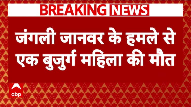 UP News: Following Bahraich, Wild Animal Attack Claims One Life in Sitapur | Breaking News