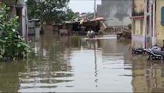 પોરબંદરમાં પૂરનું તાંડવ: શહેર જળબંબાકાર, લોકો અગાસી પર દિવસો કાઢવા મજબૂર