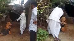 राजस्थान में महिला को बंधक बनाकर बेरहमी से पीटा, सोशल मीडिया पर मारपीट की वीडियो वायरल