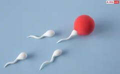 Health Tips: ਇੱਕ ਸਕਿੰਟ 'ਚ ਔਸਤ ਆਦਮੀ ਕਿੰਨੇ ਬਣਾਉਂਦਾ ਸ਼ੁਕ੍ਰਾਣੂ ? ਜਾਣਕੇ ਹਿੱਲ ਜਾਵੇਗਾ ਦਿਮਾਗ਼ !