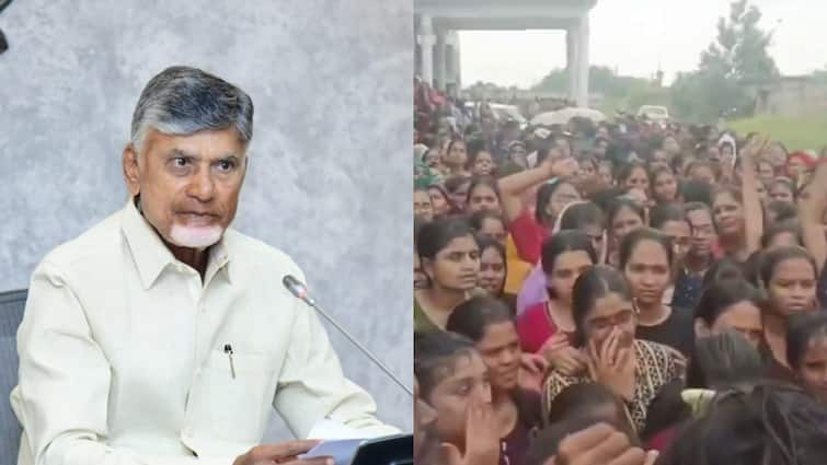 ap cm chandrababu key orders on gudlavalleru incident Gudlavalleru Engineering College: గుడ్లవల్లేరు ఘటన - ప్రతి 3 గంటలకోసారి రిపోర్ట్ చేయాలని సీఎం చంద్రబాబు కీలక ఆదేశాలు