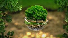Eco-Friendly Habits: Few Simple Changes For A Greener Tomorrow