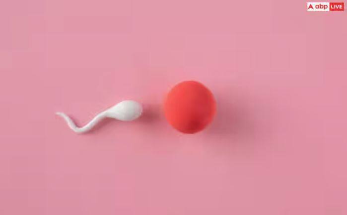 ਇਸ ਦੇ ਨਾਲ ਹੀ ਕਈ ਹਾਰਮੋਨਲ ਬਦਲਾਅ ਵੀ ਹੁੰਦੇ ਹਨ ਜਿਸ ਕਾਰਨ ਇਹ ਖੂਨ ਦੇ ਜ਼ਰੀਏ ਅੰਡਕੋਸ਼ ਤੱਕ ਪਹੁੰਚਦਾ ਹੈ।