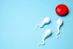 Health Tips: ਕਿੰਨੇ ਸਕਿੰਟ ਚ Sperm ਬਣਾਉਂਦਾ ਹੈ ਇਕ ਆਦਮੀ, ਸੁਣਕੇ ਮਨ ਕੰਬ ਜਾਵੇਗਾ