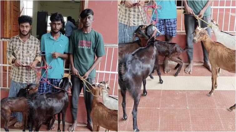 4 people arrested for stealing goats near Tindivanam ஆடு திருடிய போது நாயிடம் சிக்கிய மர்ம கும்பல்... சுத்து போட்டு பிடித்த போலீஸ்.. 7 ஆடுகள் மீட்பு