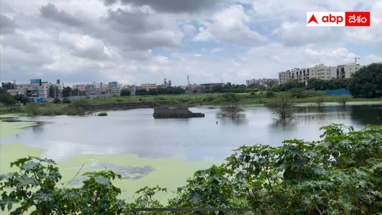 Vellamma Kunta pond in Bachupalli has been caught in the Land Grabbers Velamma Kunta pond :  కబ్జా కోరల్లో వెల్లమ్మకుంట చెరువు - ABP దేశంపై దౌర్జన్యం - హైడ్రా దృష్టి పెట్టాలని స్థానికుల డిమాండ్