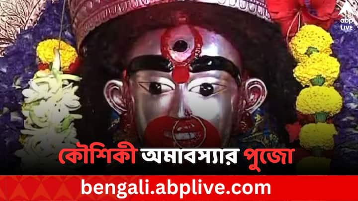 Maa Tara: কৌশিকী অমাবস্যা তিথিতে স্বর্গ ও নরকের দরজা খুলে যায় বলে বিশ্বাস করেন সনাতন ধর্মে বিশ্বাসীরা। এই সময় নেতিবাচক ও ইতিবাচক শক্তি সর্বোত্তম ফল দেয় বলেও বিশ্বাস করেন বামাচারে বিশ্বাসী মানুষরা।