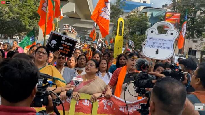 করুণাময়ীতে মিছিল আটকানোর চেষ্টা করলে পুলিশের সঙ্গে ধস্তাধস্তি শুরু হয় বিজেপি মহিলা মোর্চার সদস্যাদের।