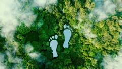 Eco-Friendly Habits: Few Simple Changes For A Greener Tomorrow