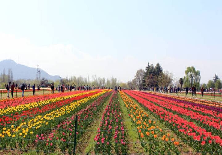 इस टूर पैकेज का नाम है Kashmir-Heaven on Earth है. इस पैकेज की शुरुआत झारखंड की राजधानी रांची से होगी.