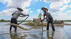 Weather Forecast: ভরা ভাদ্রেও অবিরাম বৃষ্টি, বঙ্গের আকাশের ফের দুর্যোগের মেঘ