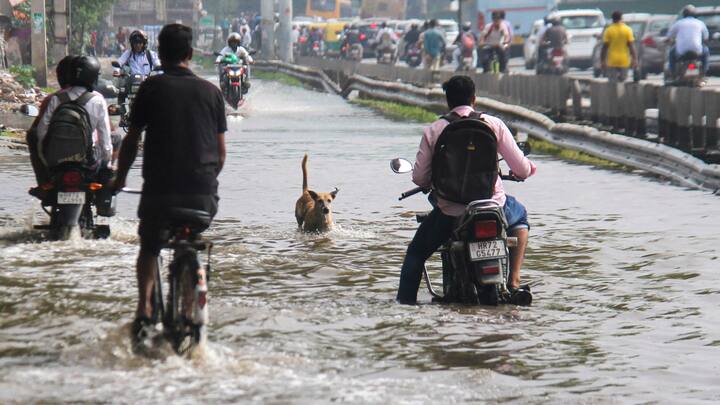 दिल्ली के प्राथमिक मौसम केंद्र सफदरजंग स्थित वेधशाला ने सुबह 8:30 बजे समाप्त हुए 24 घंटों में 77.1 मिलीमीटर बारिश दर्ज की. आईएमडी ने बताया कि लोधी रोड स्थित मौसम विज्ञान केंद्र ने 92.2 मिमी बारिश दर्ज की, जबकि रिज में 18.2 मिमी, पालम में 54.5 मिमी और आयानगर में इसी अवधि के दौरान 62.4 मिमी बारिश दर्ज की गई.