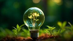 Eco-Friendly Habits: Few Simple Changes For A Greener Tomorrow