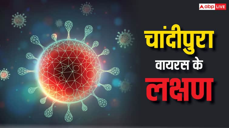 Chandipura virus outbreak in India largest in 20 years says WHO क्या कोरोना से भी खतरनाक बीमारी है चांदीपुरा वायरस? जानें WHO की तरफ से क्यों दी गई चेतावनी