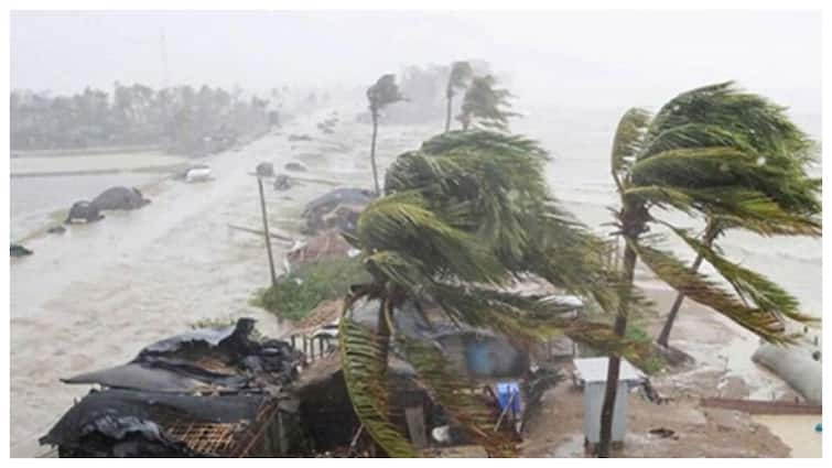 IMD cyclone is brewing over Saurashtra-Kutch region of Gujarat Arabian Sea on Friday Oman coast 48 साल बाद अरब सागर के ऊपर मंडरा रहा चक्रवात असना, जानें क्यों टेंशन में आया मौसम विभाग