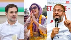 Lok Sabha Elections 2024: राहुल गांधी से लेकर असदुद्दीन ओवैसी और महुआ मोइत्रा तक...चुनाव ने सबकी कराई चांदी! जानें, सबसे ज्यादा किसे मिला पैसा