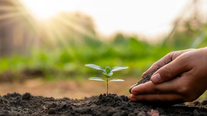 5. Plant trees: Trees give us life. They absorb carbon dioxide and produce oxygen, playing a vital role in the fight against climate change. The ‘Ek Ped Maa Ke Naam’ campaign, inaugurated by Prime Minister Narendra Modi on World Environment Day in June this year, urges people to plant a sapling as a tribute to their mothers. Planting a sapling is not enough; nurturing it till it grows into a tree is equally important. So let us plant a tree with full sincerity and feeling proud of the contribution to Mother Nature. With one tree, we reduce 10 kilograms, or 22 pounds, of carbon dioxide per year for the first 20 years. (Image source: Canva)